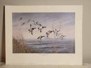 lot 44 image: SIGNED Fine Art Naturalist Print - Rhynard Klingbeil - Out of the Fog Canvasbacks