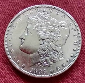 Gorgeous 1899 Morgan Dollar - KEY COIN