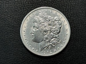 1902 Morgan Dollar