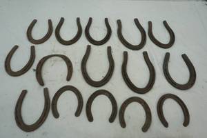 lot 99 image: horseshoe lot