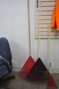 lot 194 image: 3 rake lot