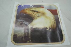 lot 305 image: vinyl eagle print 19x 18