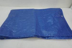 lot 404 image: blue tarp