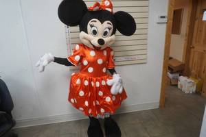 lot 632 image: Minnie Mouse outfit complete