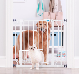lot 711 image: Carlson Extra Wide Walk Through Pet Gate with Small Pet Door, Includes 4-Inch Extension Kit, Pressure Mount Kit and Wall Mount Kit