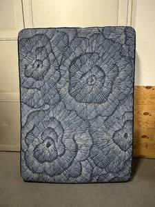 lot 24 image: SERTA PERFECT SLEEPER Oasis Sleep Firm Top Pillow- Queen