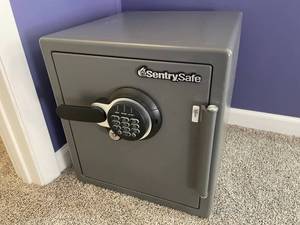lot 13 image: SentrySafe Digital Security Safe