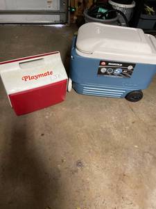 lot 316 image: Igloo MaxCold & Playmate Coolers