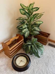 Faux Plants, Sterling & Noble Clock, and Magazine Holders