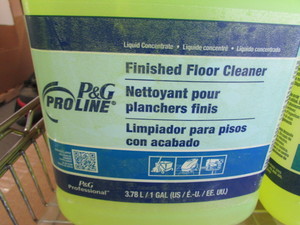 lot 89 image: Floor Cleaner