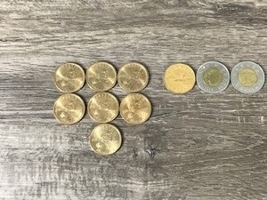 lot 309 image: Sacajawea 1 Dollars Coins & Canadian 1 dollar and 2 Dollar Coins