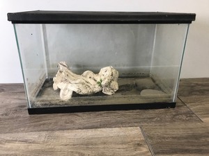 lot 395 image: Fish  Reptile Tank with Contents in it
