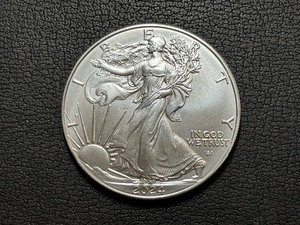 lot 10 image: 2024 Silver Eagle