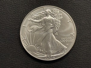 lot 63 image: 2024 Silver Eagle