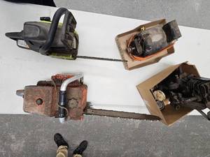 lot 258 image: Chainsaws and Motors