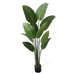 lot 42 image: (2) CAPHAUS 5 ft. Artificial Bird of Paradise Plant with 10-Trunks, Realistic Look and Easy Maintenance,