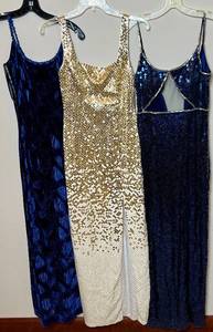 3 Evening Dresses - Niteline and Scott McClintock