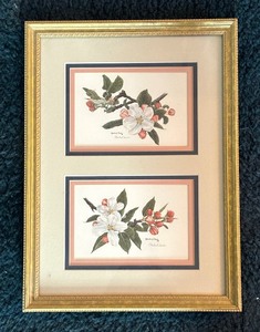 lot 43 image: Floral Prints by Charles A. Towle