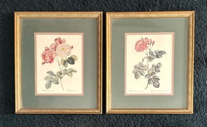lot 101 image: Pair of Framed Rose Floral Prints