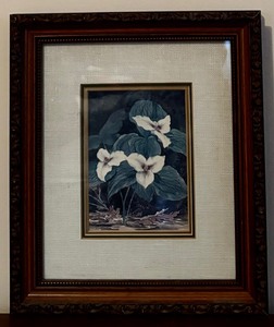 lot 88 image: Vintage Art White Trillium Flowers by The Vern Hippensteal Gallery