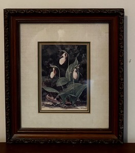 lot 87 image: Vintage Botanical Art Print by The Vern Hippensteal Gallery