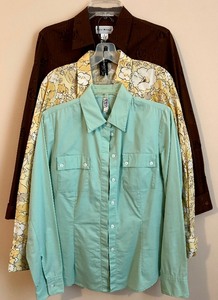 lot 194 image: Fun Styles for Button Down Dress Shirts by Rena Rowan Stretch, Nine West Separates and Laundry