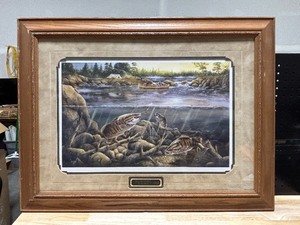 Framed Wildlife Print