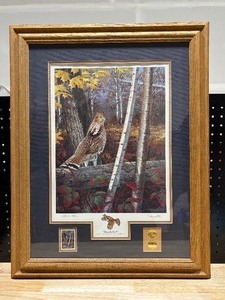 Framed Wildlife Print