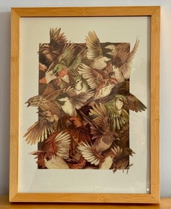 lot 164 image: Framed Ink Jet Print Red Throated, Black Capped Spotted Barred Birds by Teagan White