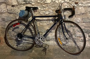 lot 297 image: Trek Bicycle