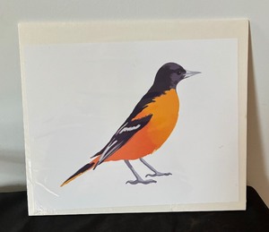 lot 337 image: Baltimore Oriole Unframed Print by Dustin Davis
