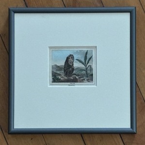 lot 393 image: Fig 199 Baboon Motif Mandrill Print