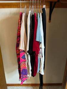 lot 333 image: Lot of Womens Tops in Various Styles and Colors & 1 Pair of Pants