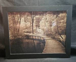 lot 261 image: Framed Black and White Nature Photograph with Wooden Footbridge