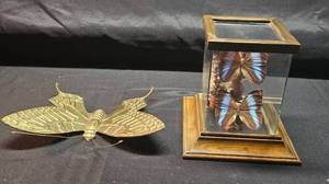 lot 242 image: Collection of 2 Vintage Butterfly Displays - Decorative Wall Art