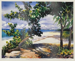 lot 132 image: Cayman Islands Beach Print by Lois Brezinski