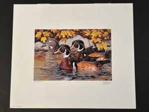 lot 25 image: Minnesota Duck Print THOMAS GROSS 1984 Stamp Unframed Mint # 38974200