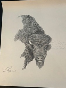 lot 186 image: Vintage BUFFALO Head Artist Pencil Signed Print Unframed Artwork