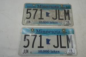 lot 247 image: Minnesota license plates