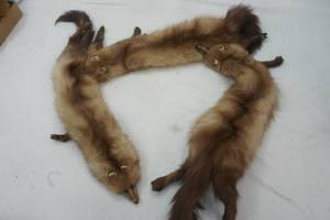 lot 75 image: Mink collar