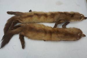 lot 76 image: Mink furs