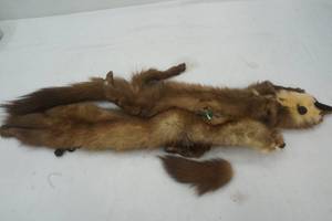 lot 77 image: mink furs