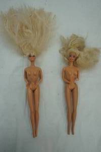lot 509 image: Barbies