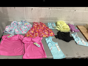 lot 403 image: LOT OF 10 Girls Clothing, Size 2T