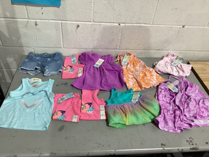 lot 405 image: LOT OF 10 Girls Clothing, Size 2T