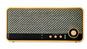 lot 477 image: onn. Medium Wi-Fi Speaker with Multi-directional Sound, AirPlay2,IP67 Water-resistant