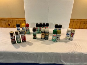 Assorted SprayPaint - Lot of 19