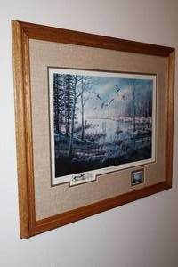 Ken Zylla Commemorative Print A Likely Refuge 1981 North American Game Bird Series Stamp Artist Signed