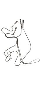 lot 92 image: Lot of 2 Snap Fitness Commercial Jump Ropes Black ( See Pictures)