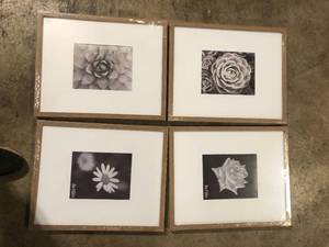 lot 15 image: StyleWell 16 x 20 Matted to 8 x 10 Ash Gallery Wall Picture Frame (Set of 4) Customer Returns See Pictures